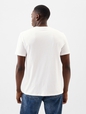 Gap USA Logo T-Shirt