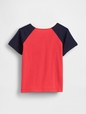 babyGap Colorblock Brannan Bear Graphic T-Shirt