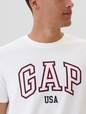 Everyday Soft Gap USA Logo T-Shirt