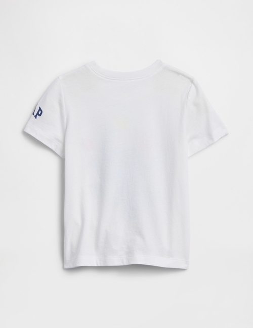 V-DIS STITCH SS LIC GR