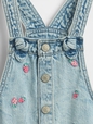 Baby & Toddler Embroidered Denim Shortalls