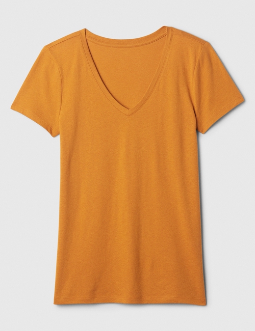 Favorite V-Neck T-Shirt