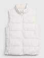 ColdControl Puffer Vest