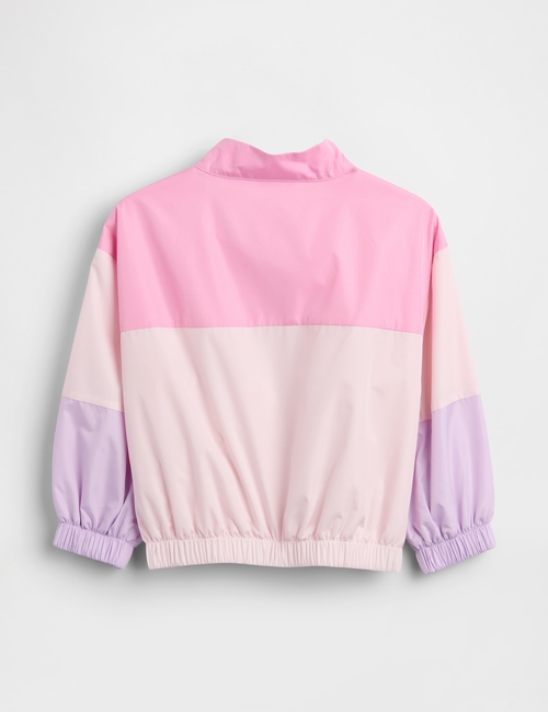 JPN IE CB WINDBUSTER