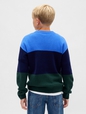 Kids CashSoft Relaxed Crewneck Sweater