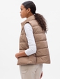 ColdControl Puffer Vest