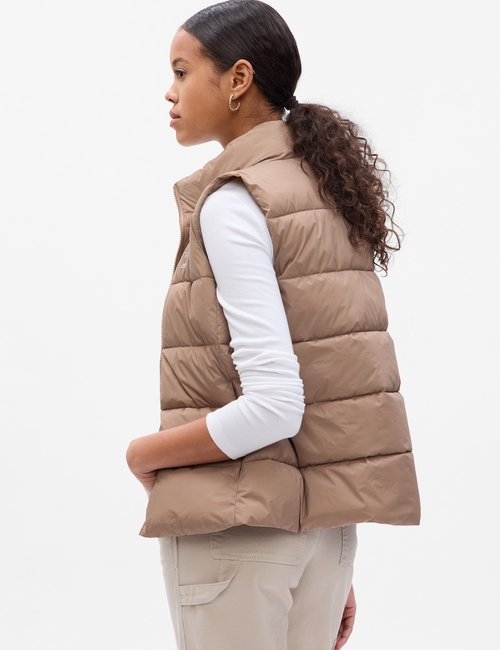 ColdControl Puffer Vest
