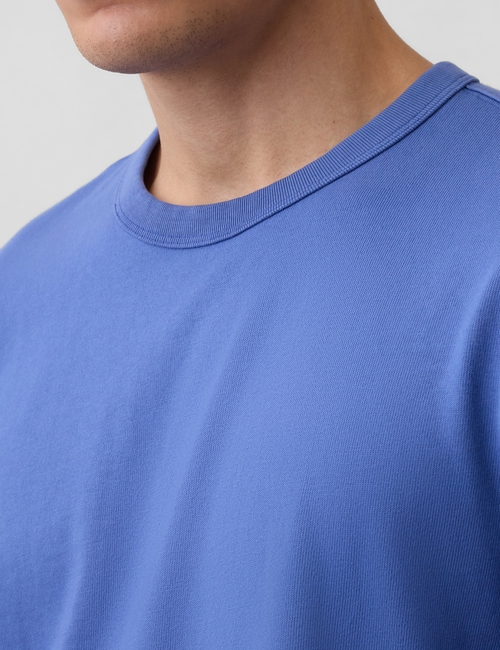 Adult Heavyweight Relaxed T-Shirt