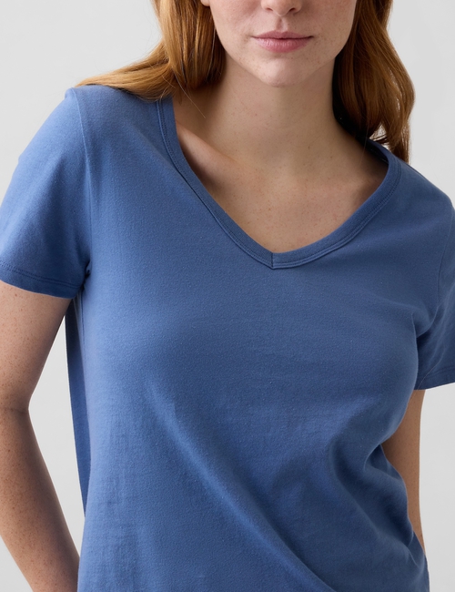 Favorite V-Neck T-Shirt