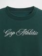 VintageSoft Logo Wedge Sweatshirt