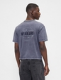 Heavyweight Crop Graphic T-Shirt