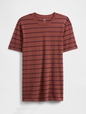 Everyday Soft Stripe Crewneck T-Shirt