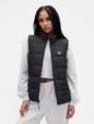 ColdControl Puffer Vest