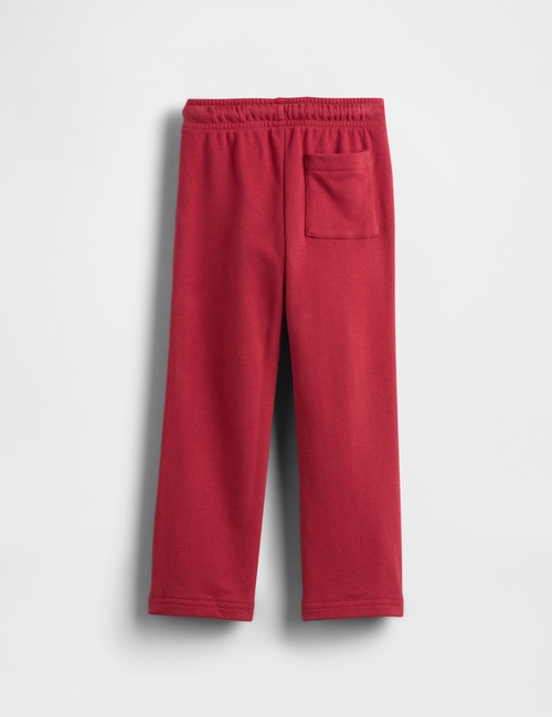 JPN IE OVAL LOGO FT JOGGER