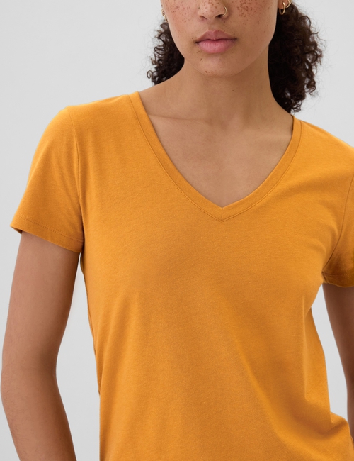 Favorite V-Neck T-Shirt