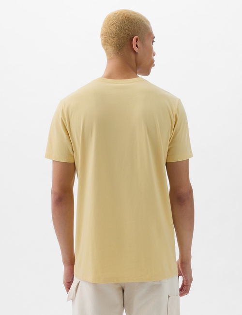 INTL NEW ARCH T