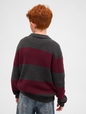 Kids Polo Sweater