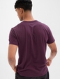 Gap Arch Logo T-shirt