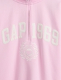 VintageSoft 1969 Logo Half-Zip Pullover