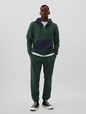 Gap Logo Colorblock Zip Hoodie