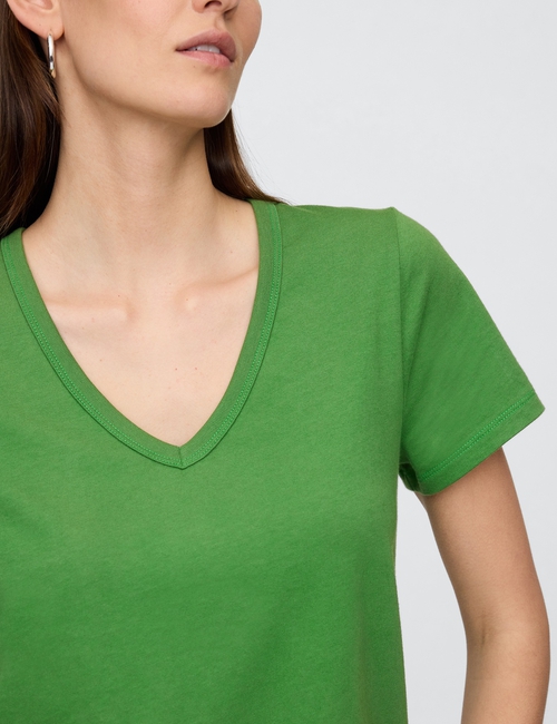 Favorite V-Neck T-Shirt