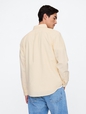 Oxford Shirt in Standard Fit