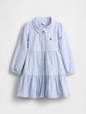 Baby & Toddler Tiered Oxford Shirtdress