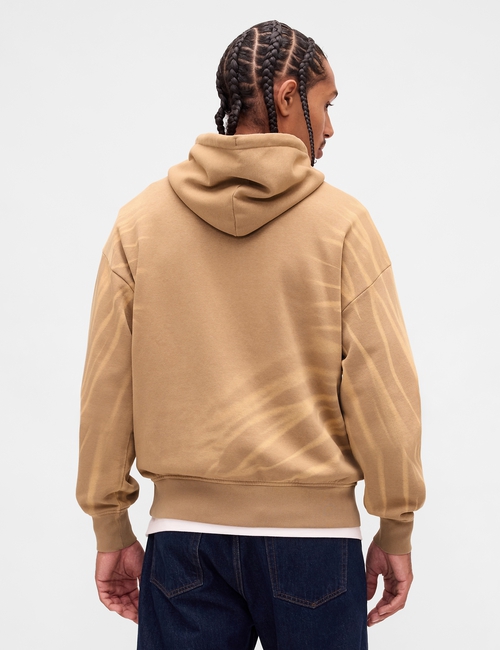 JPN MOD HOL25 CORP LOGO PO