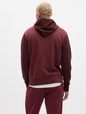 Gap Logo Colorblock Zip Hoodie