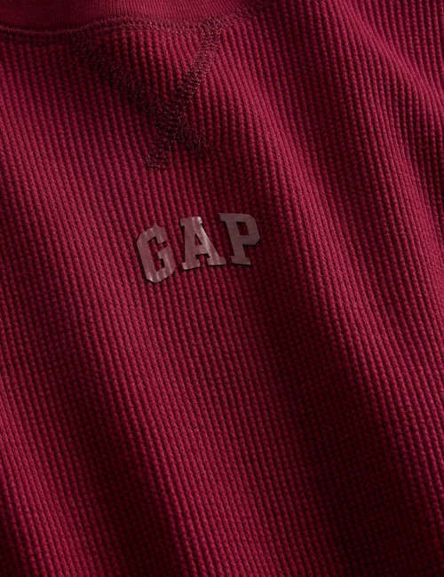 V-FRCH LS THERMAL LOGO