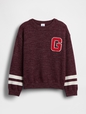 Baby & Toddler Graphic Crewneck Sweater