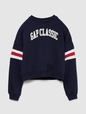 VintageSoft Logo Wedge Sweatshirt