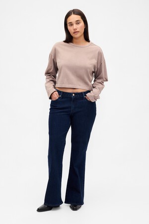 Curvy Low Rise Long & Lean Jeans