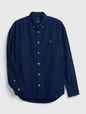 Brannan Bear Oxford Shirt in Untucked Fit