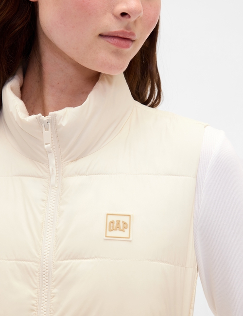 ColdControl Puffer Vest