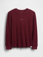 V-FRCH LS THERMAL LOGO
