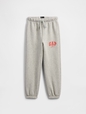 V-DISLOGO X GAP FAM JGR