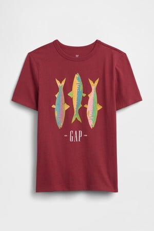 V-APR SS VAL GR - OLX