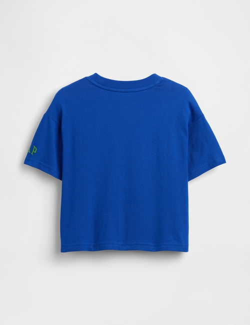 SMB SS BOXY GR TEE