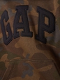 Kids Gap Arch Logo Hoodie
