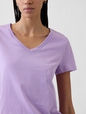 Favorite V-Neck T-Shirt