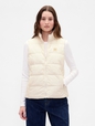 ColdControl Puffer Vest