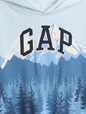 MOUNTAIN PRINT LOGO HOOD