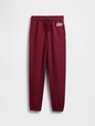 V-FRCH FLEECE HERITAGE LOGO JOGGER