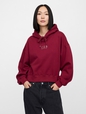 Vintage Soft Logo Hoodie