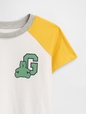 babyGap Colorblock Brannan Bear Graphic T-Shirt