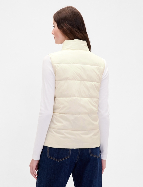 ColdControl Puffer Vest