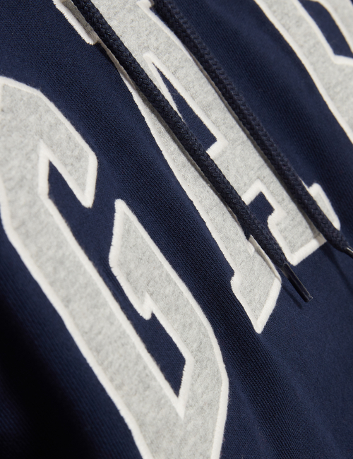 Gap Arch Logo Hoodie