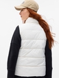 ColdControl Puffer Vest
