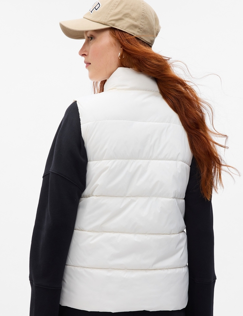 ColdControl Puffer Vest